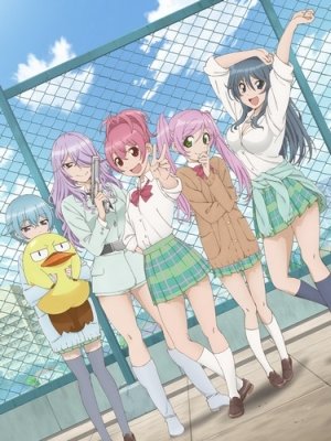 Phim Sabagebu! Specials