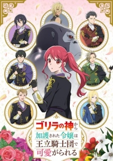 Phim Gorilla no Kami kara Kago sareta Reijou wa Ouritsu Kishidan de Kawaigarareru